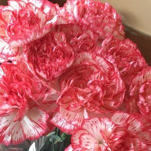 Meet your Posher, Valerie